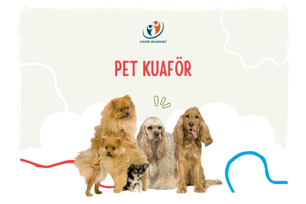 Pet Kuaför Eğitimi